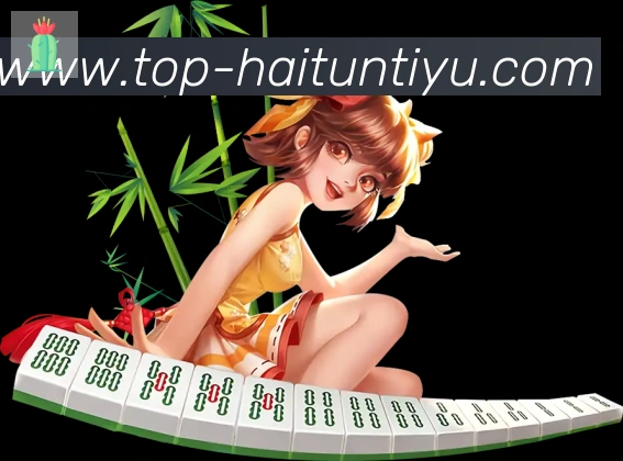 海豚直播体育荣誉